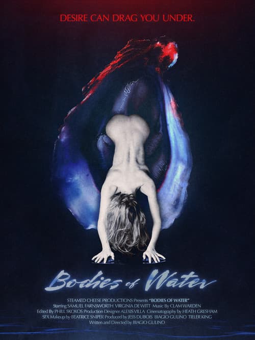 Poster for Bodies of Water