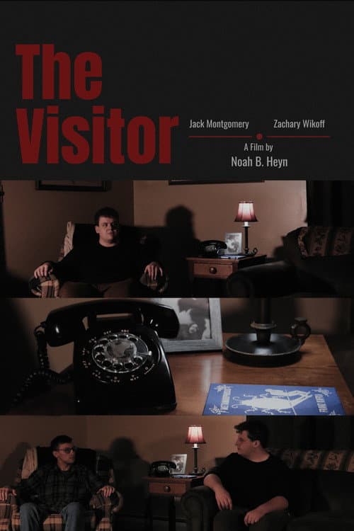 Poster for The Visitor