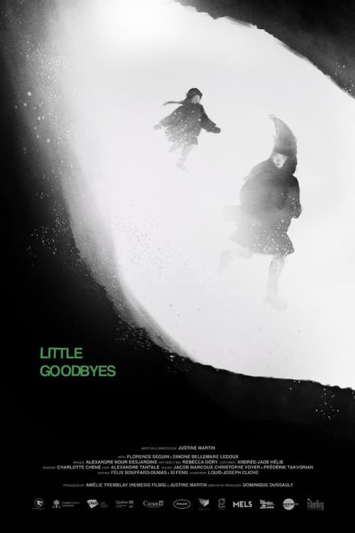 Poster for Little Goodbyes