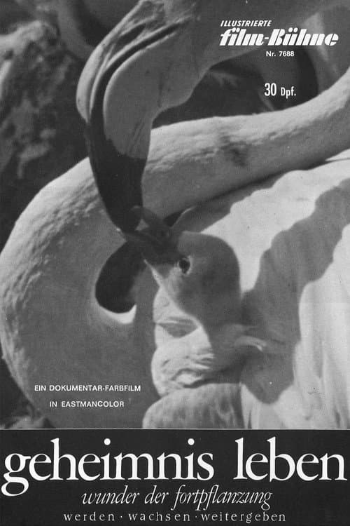 Poster for Geheimnis Leben - Wunder der Fortpflanzung