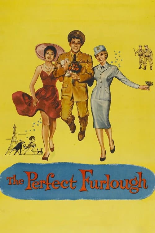 Poster for The Perfect Furlough