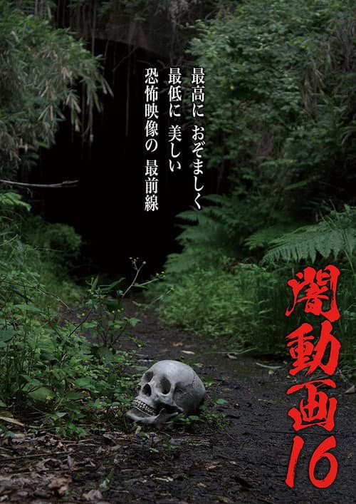Постер до фільму «Tokyo Videos of Horror 16»