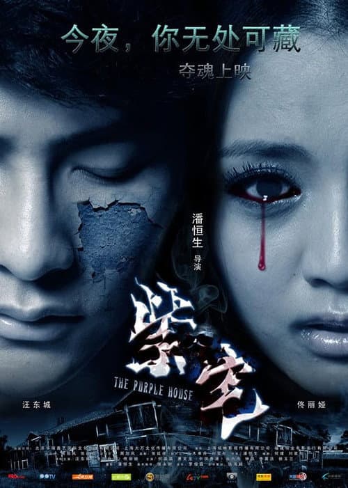 Poster for The Purple House