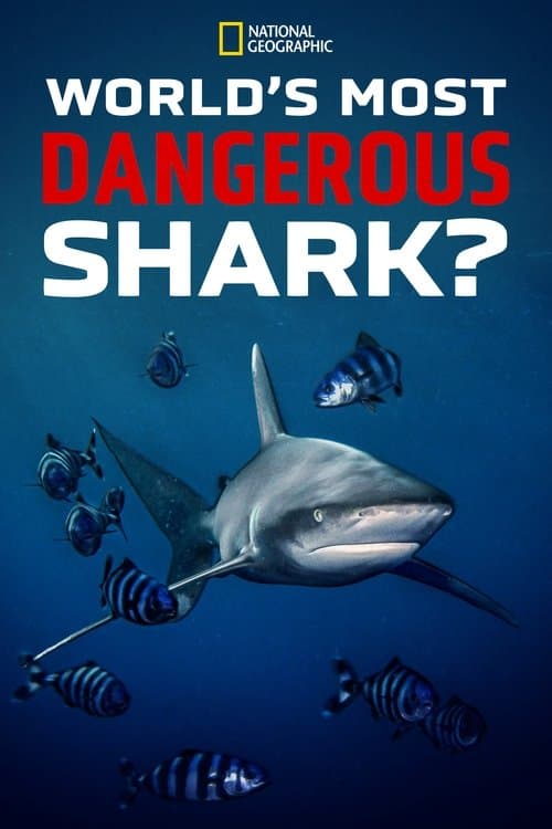 Poster for World's Most Dangerous Shark?