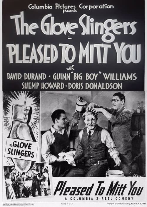 Poster for Pleased to Mitt You