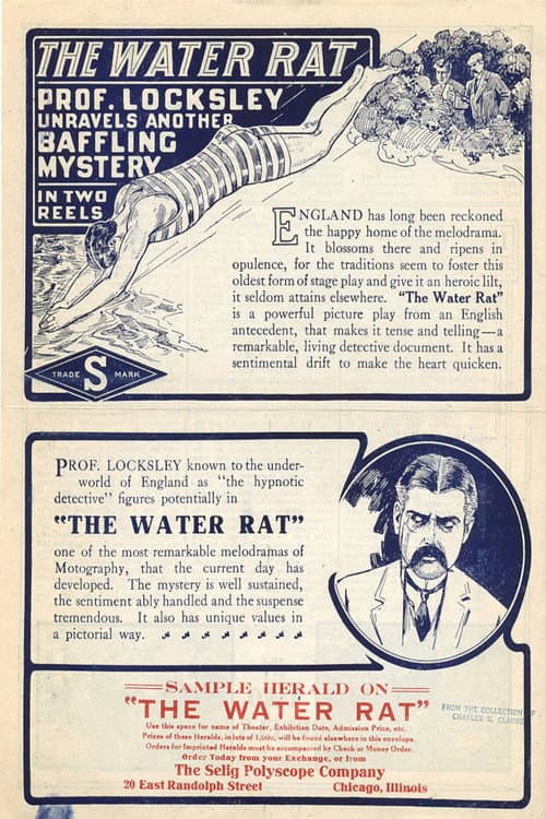 Poster for The Water Rat