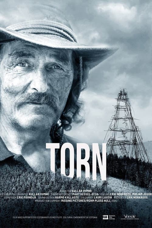 Poster for Torn