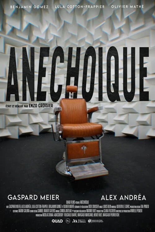 Poster for Anechoic