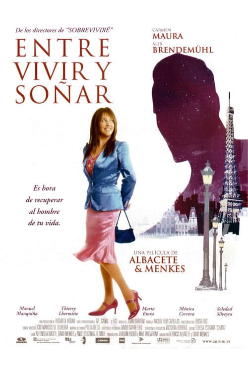 Poster for Searching for Love