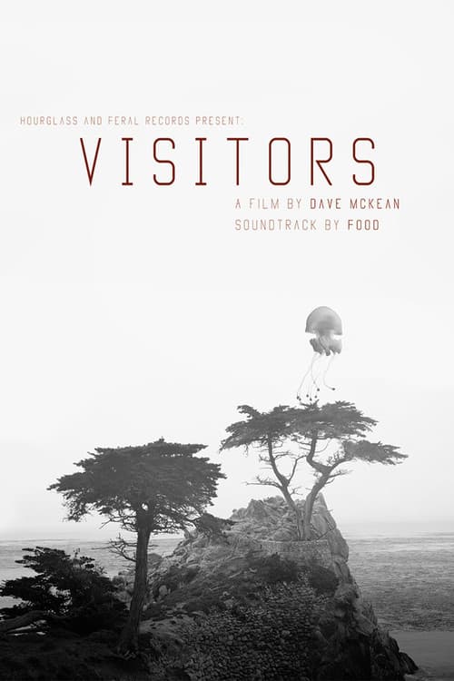 Poster for Visitors