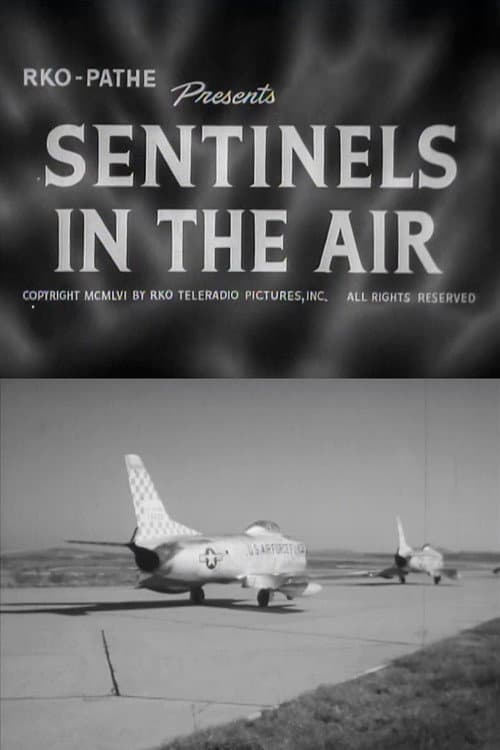 Poster for Sentinels in the Air