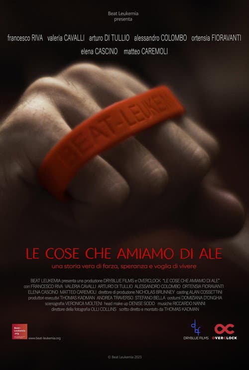 Poster for Le cose che amiamo di Ale