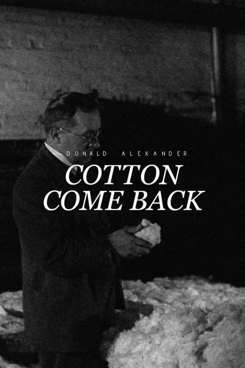 Poster for Cotton Come Back