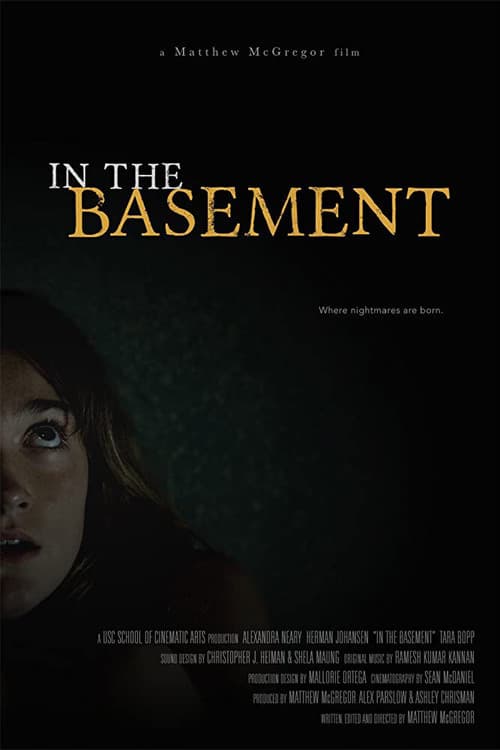 Poster for In the Basement