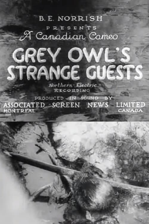 Poster for Grey Owl's Strange Guests