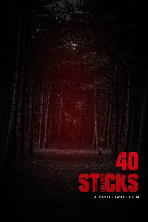 Poster for 40 Sticks
