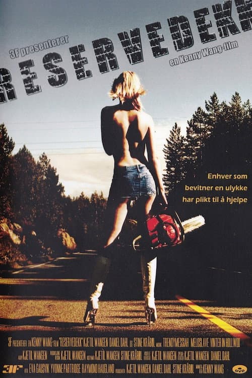 Poster for Spare Tyre
