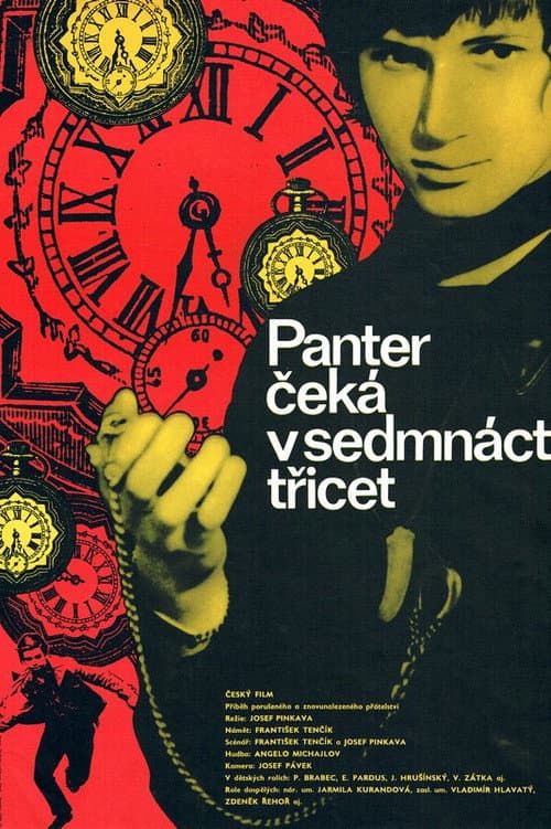 Poster for Panter čeká v 17,30