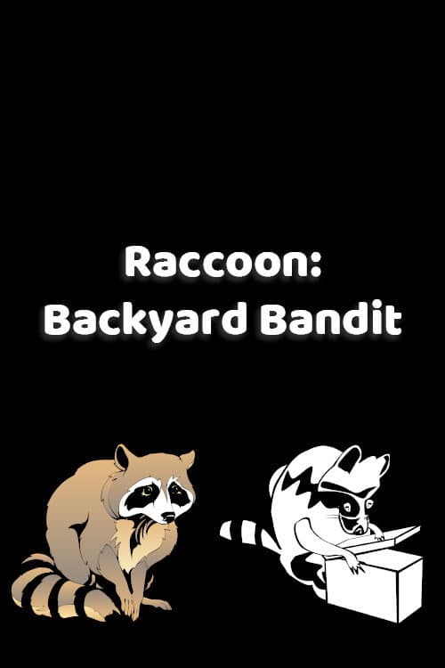 Poster for Raccoon: Backyard Bandit