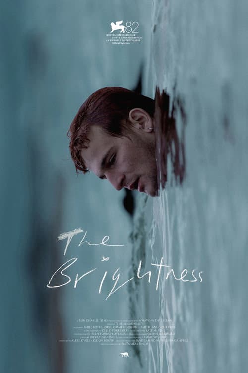 Poster for The Brightness