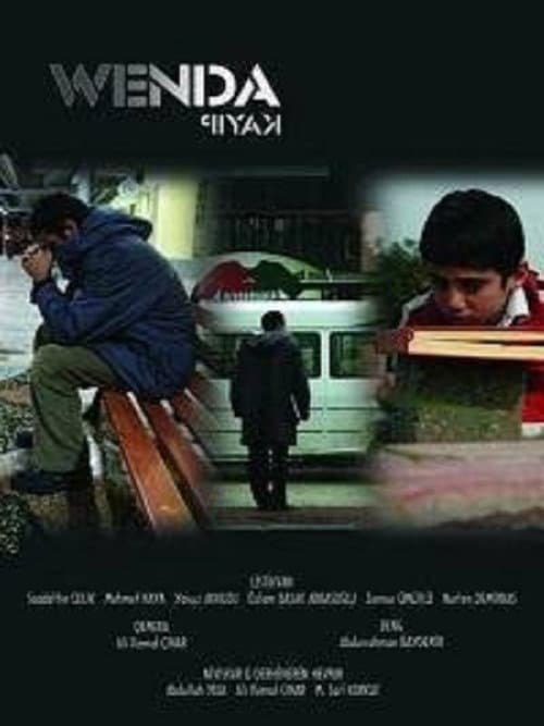 Poster for The Missing