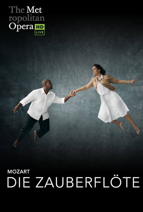 Poster for The Metropolitan Opera: The Magic Flute