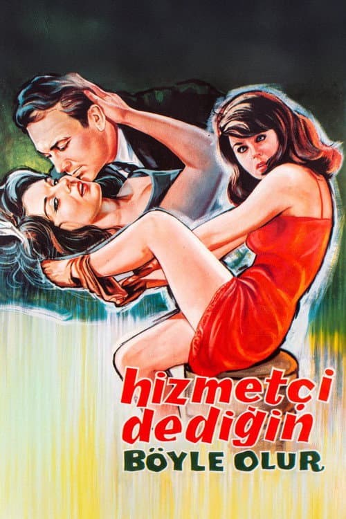 Poster for Hizmetçi Dediğin Böyle Olur