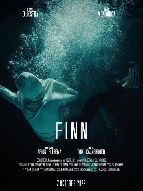 Poster for FINN