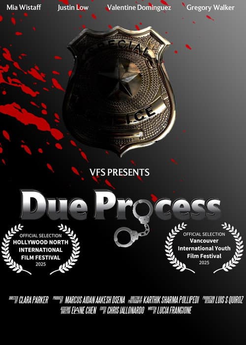 Poster for Due Process