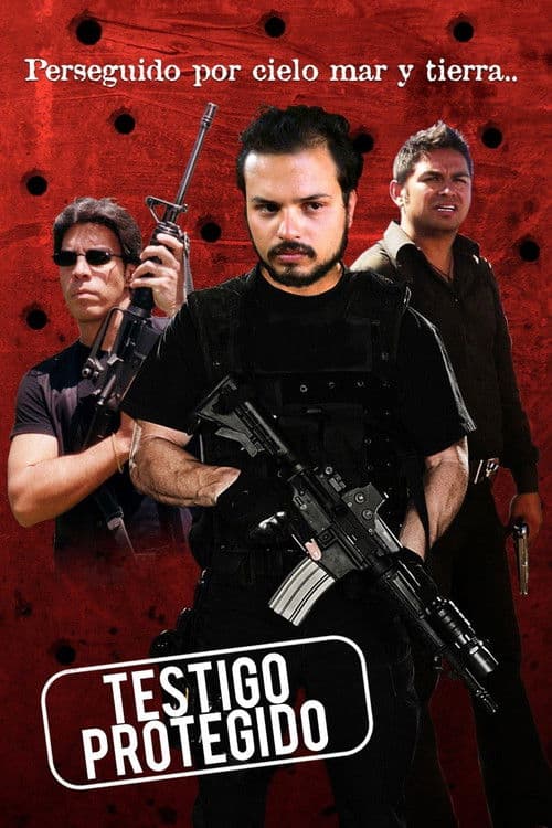 Poster for Testigo protegido