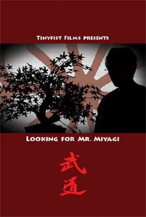 Poster for Looking for Mr. Miyagi