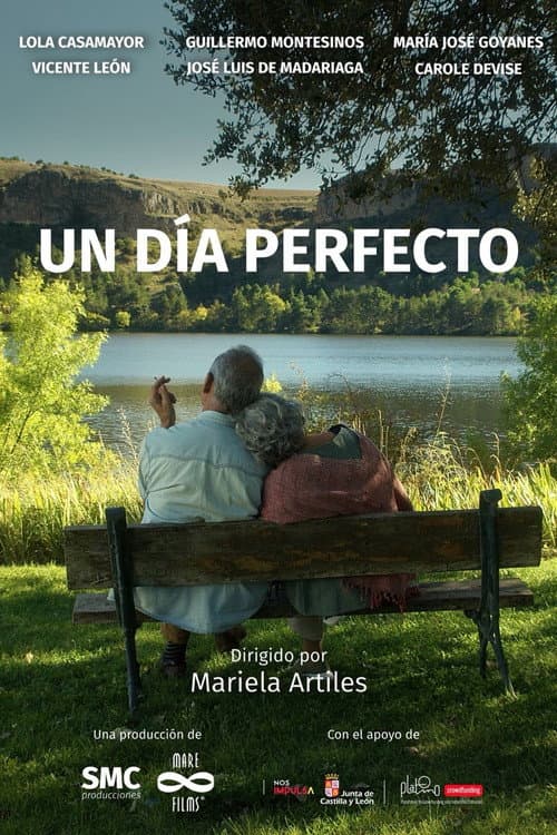Poster for Un día perfecto