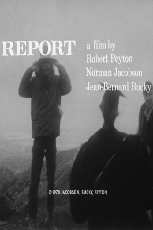 Poster for Report
