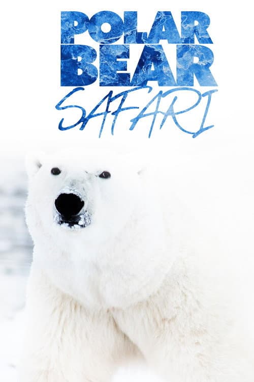 Poster for Polar Bear Safari