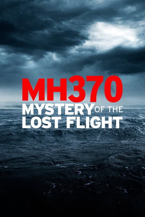 Poster for MH370: Mystery of the Lost Flight