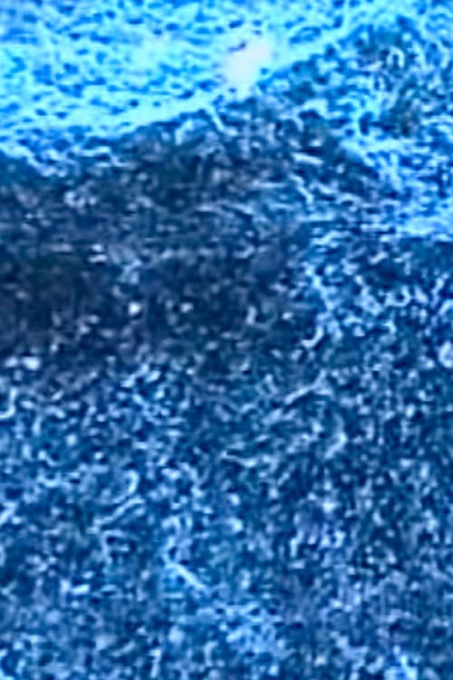 Poster for Microscopías