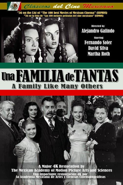 Poster for A Family Like Many Others