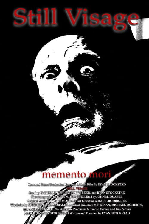 Poster for Still Visage