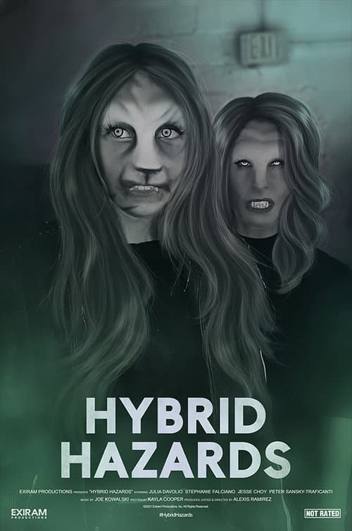 Poster for Hybrid Hazards