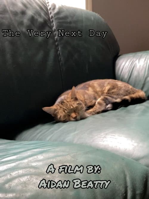 Poster for The Very Next Day