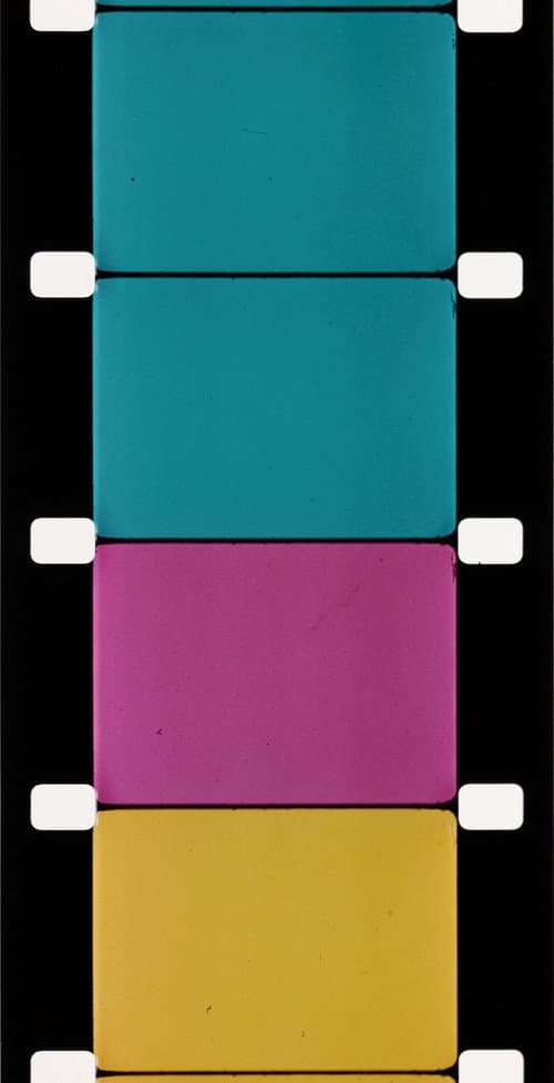 Poster for Analytical Studies I: The Film Frame