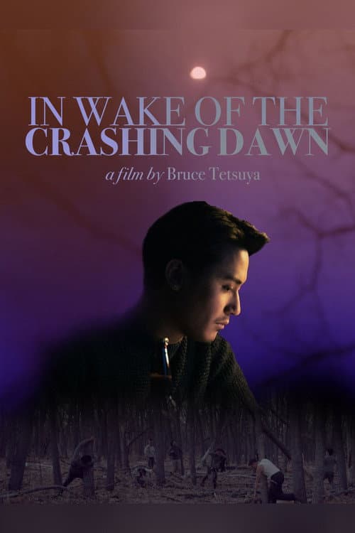 Poster for In Wake of the Crashing Dawn
