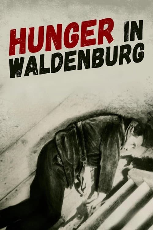 Poster for Hunger in Waldenburg