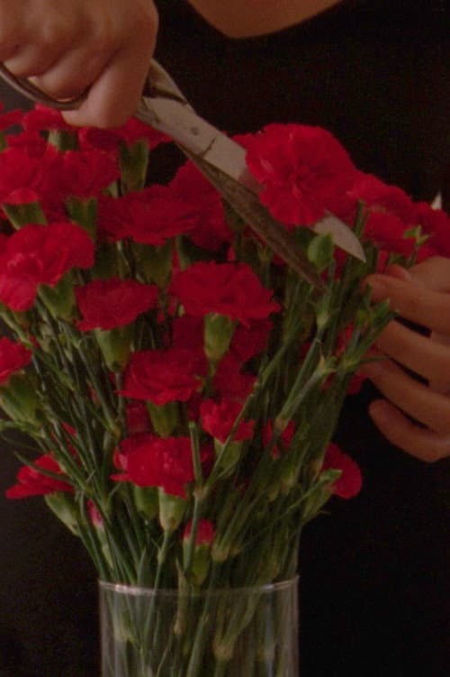 Poster for Flowers Blooming In Our Throats