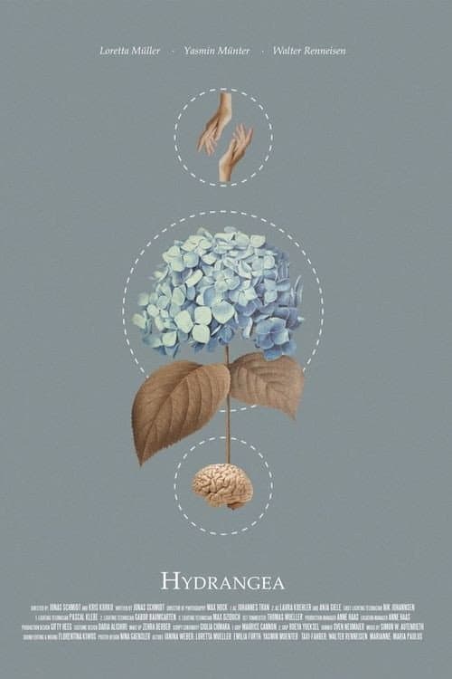 Poster for Hydrangea