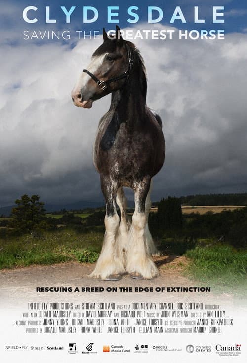 Poster for Clydesdale: Saving the Greatest Horse