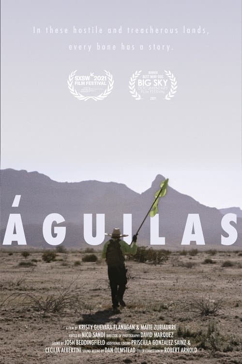 Poster for Eagles