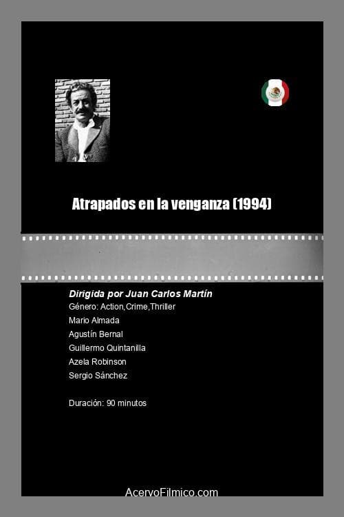 Poster for Atrapados en la venganza