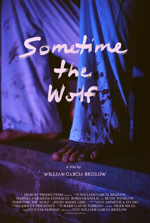 Poster for Sometime the Wolf