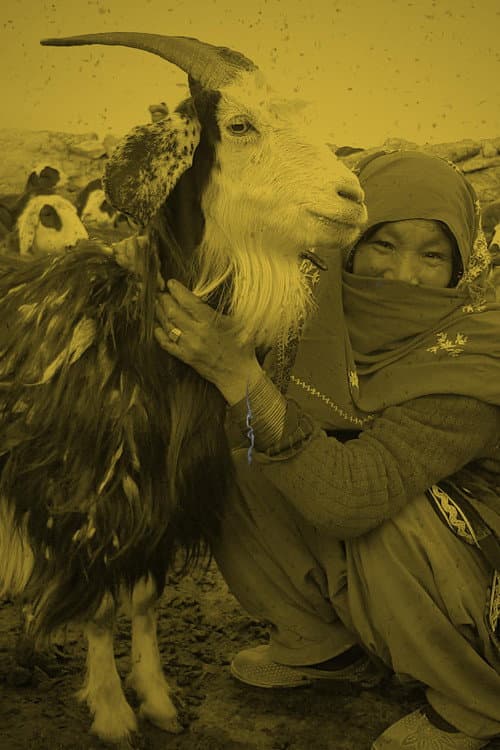 Poster for Qurut